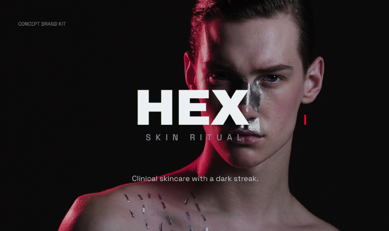 Hex concept brand kit cover